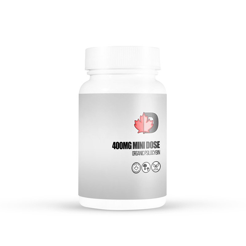 import placeholder for 365