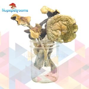 import placeholder for 65455