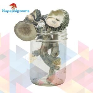 import placeholder for 65504