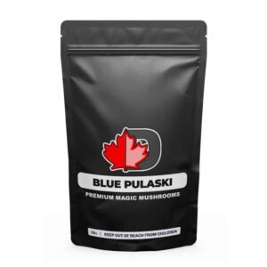 import placeholder for 520