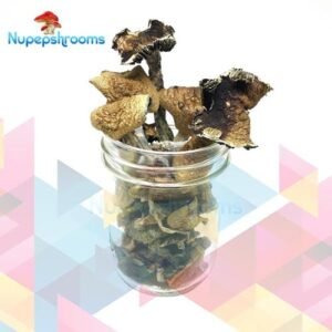 import placeholder for 50993