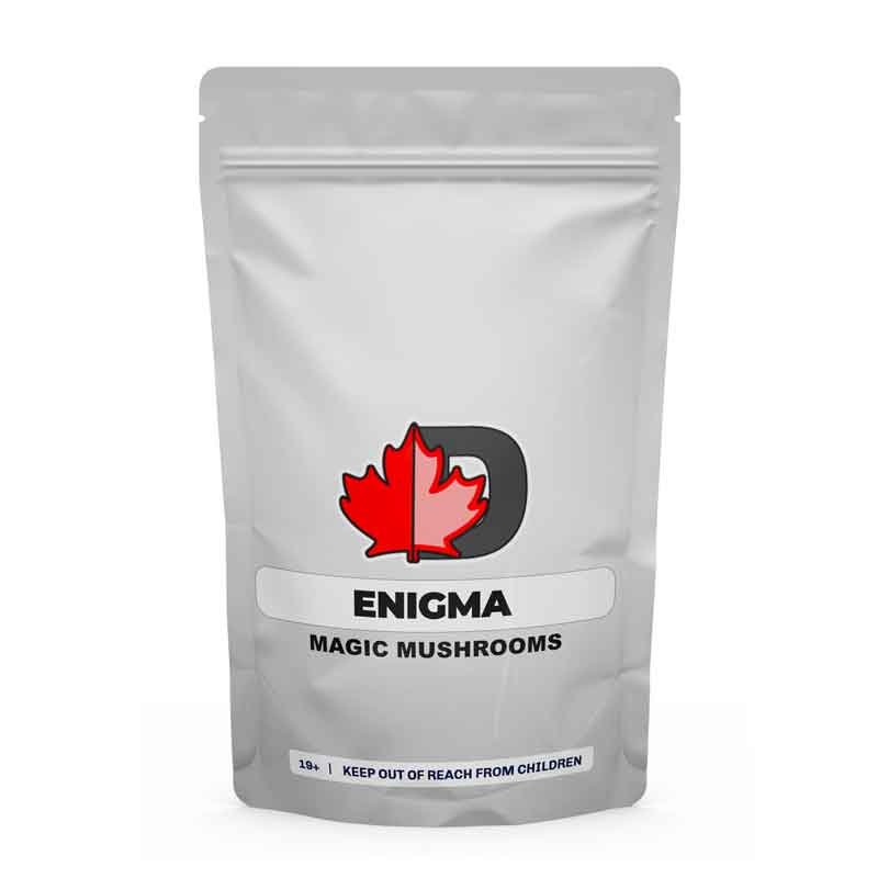 import placeholder for 584