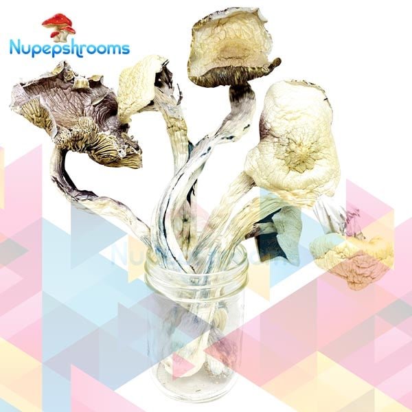 import placeholder for 49421