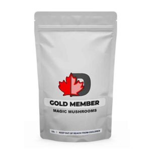 import placeholder for 561