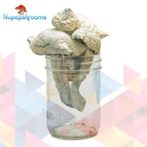 import placeholder for 65480