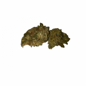 import placeholder for 149218