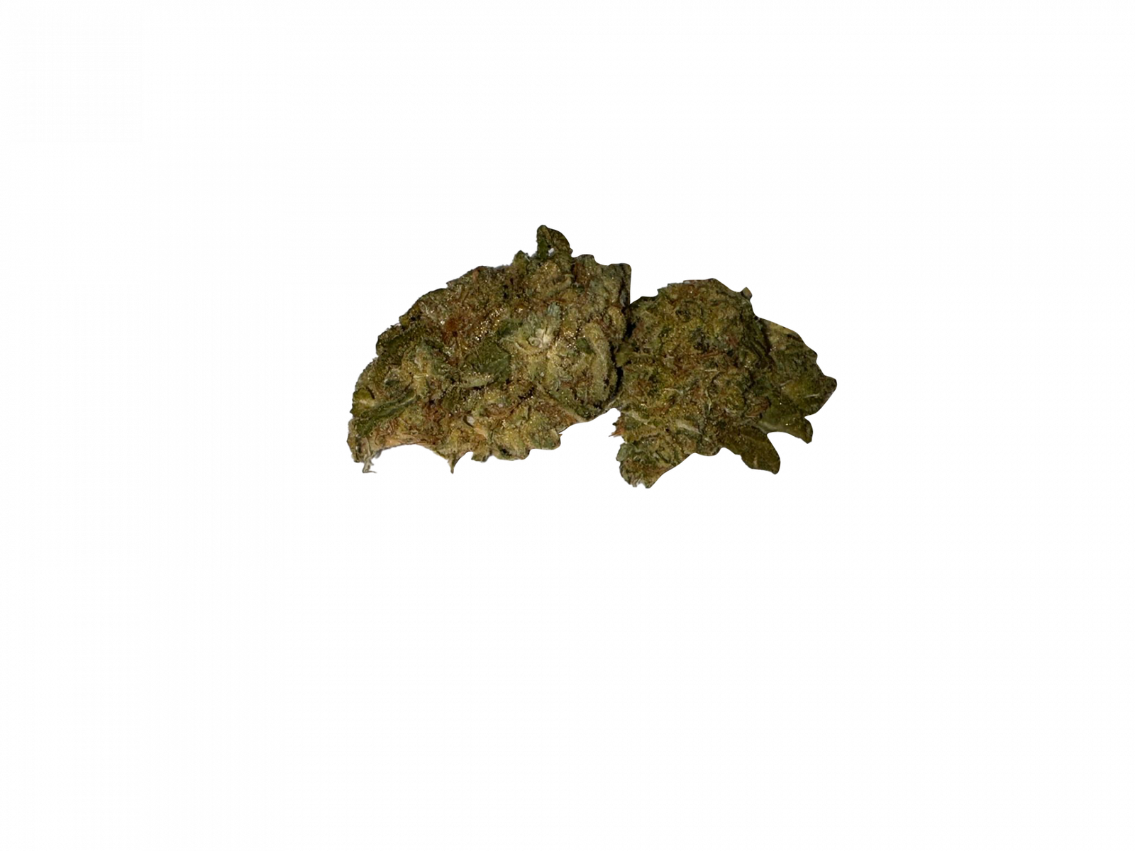 import placeholder for 149218