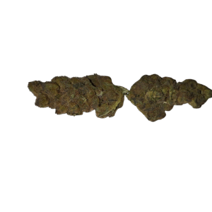 import placeholder for 149248