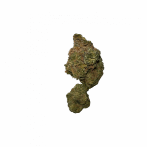 import placeholder for 149224