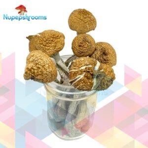 import placeholder for 50021