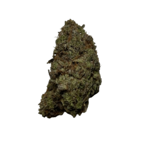 import placeholder for 150257