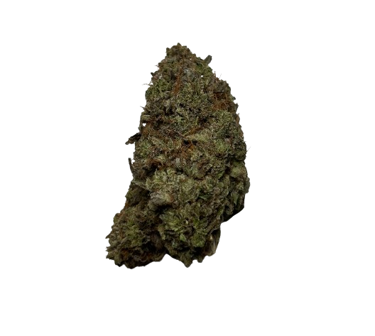 import placeholder for 150257