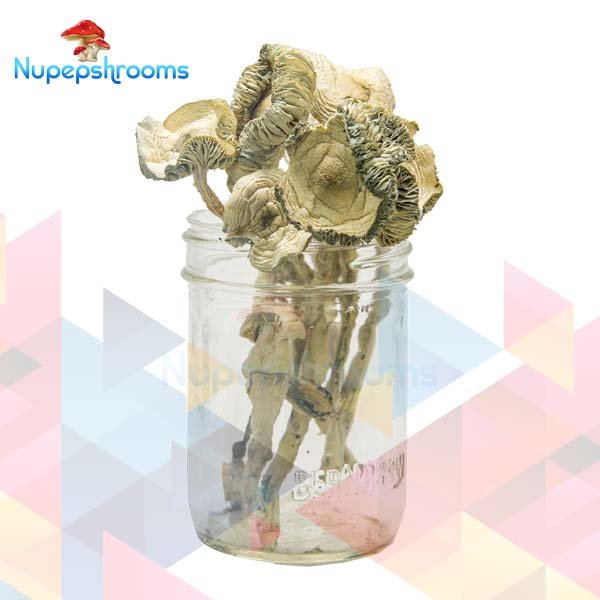 import placeholder for 65474