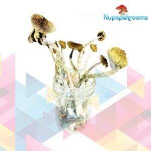 import placeholder for 46731