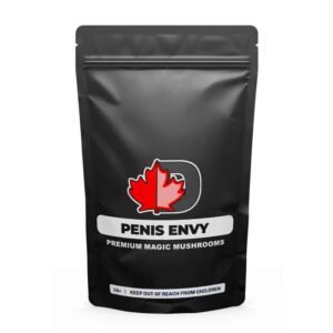 import placeholder for 500