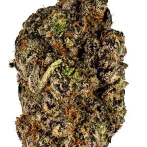 import placeholder for 195764