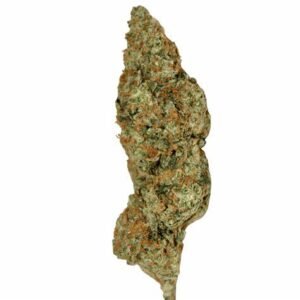 import placeholder for 194454