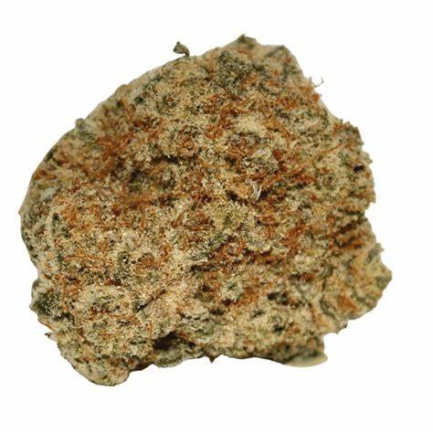 import placeholder for 194457