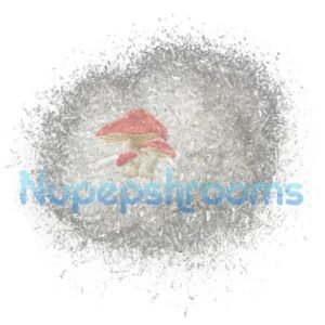 import placeholder for 126783