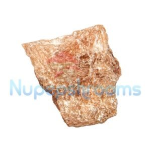 import placeholder for 135717