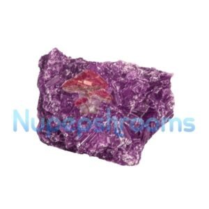 import placeholder for 126801