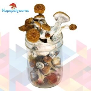 import placeholder for 55334