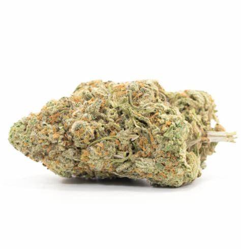 import placeholder for 194613