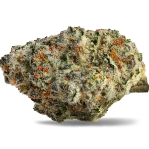 import placeholder for 194621