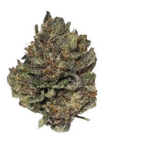 import placeholder for 194366