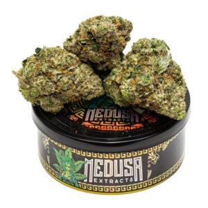 import placeholder for 56955