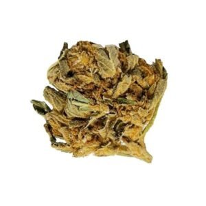 import placeholder for 149246