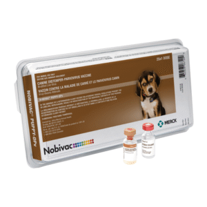 Nobivac Puppy-DPv