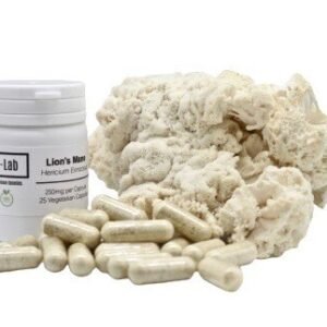 Lions Mane Supplement Capsules (500mg