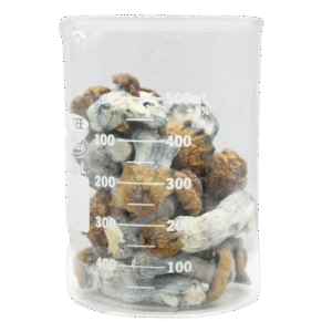 Bluetonium Magic Mushrooms