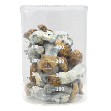 Bluetonium Magic Mushrooms