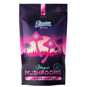 White Spider magic mushrooms